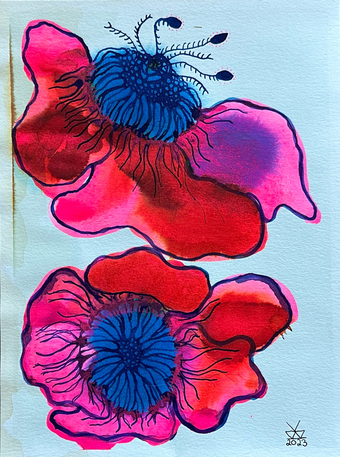 Poppies by Kelly Elizabeth Watson