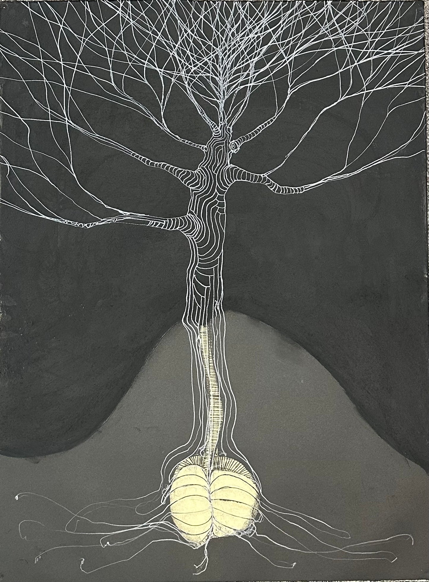 Sporozoan Mingle Maple by RobRoy Chalmers